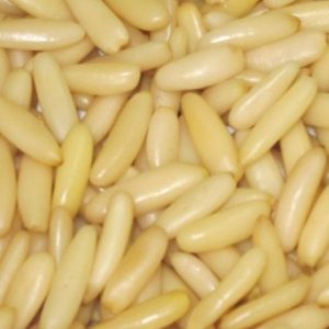 Pine Nuts Kernel